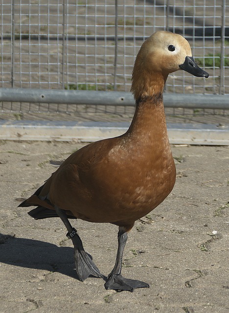 换来成功