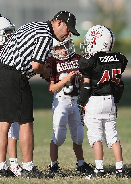 德国足坛对 德国足坛对