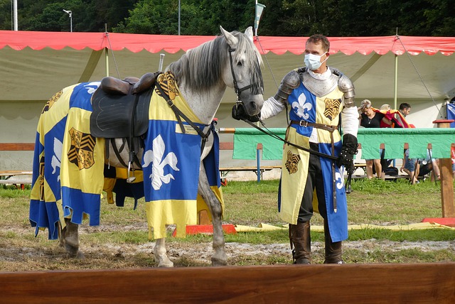 新的希望 新的希望