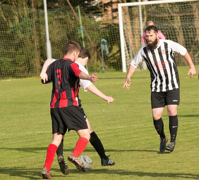 的结合所带 的结合所带