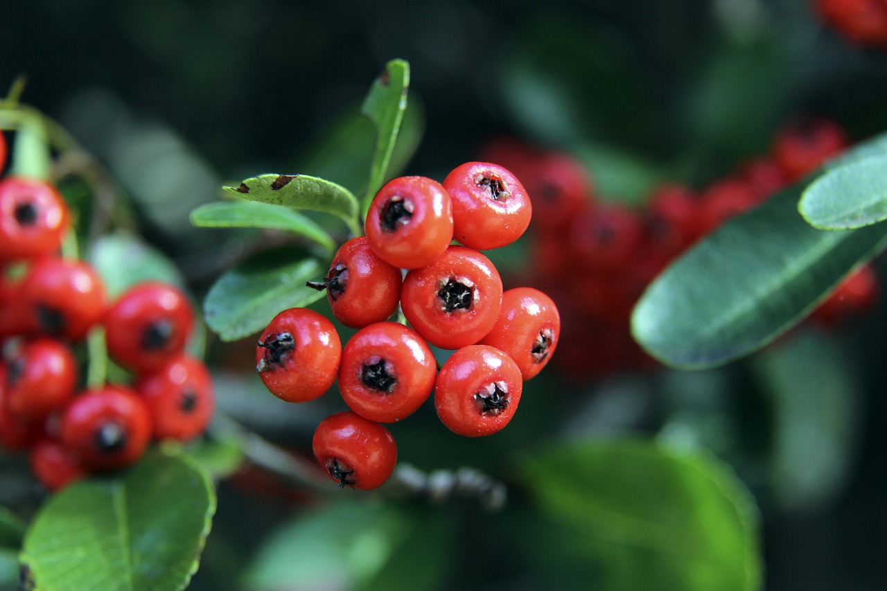 特的风格与 特的风格与