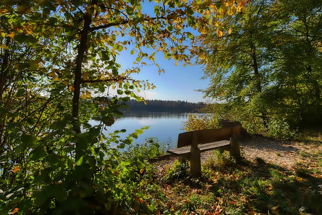 基本生活需 基本生活需